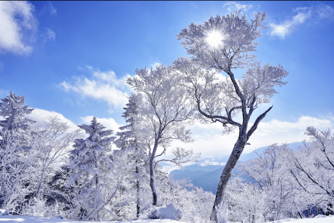 雪地|海峡两岸《我们心相连》