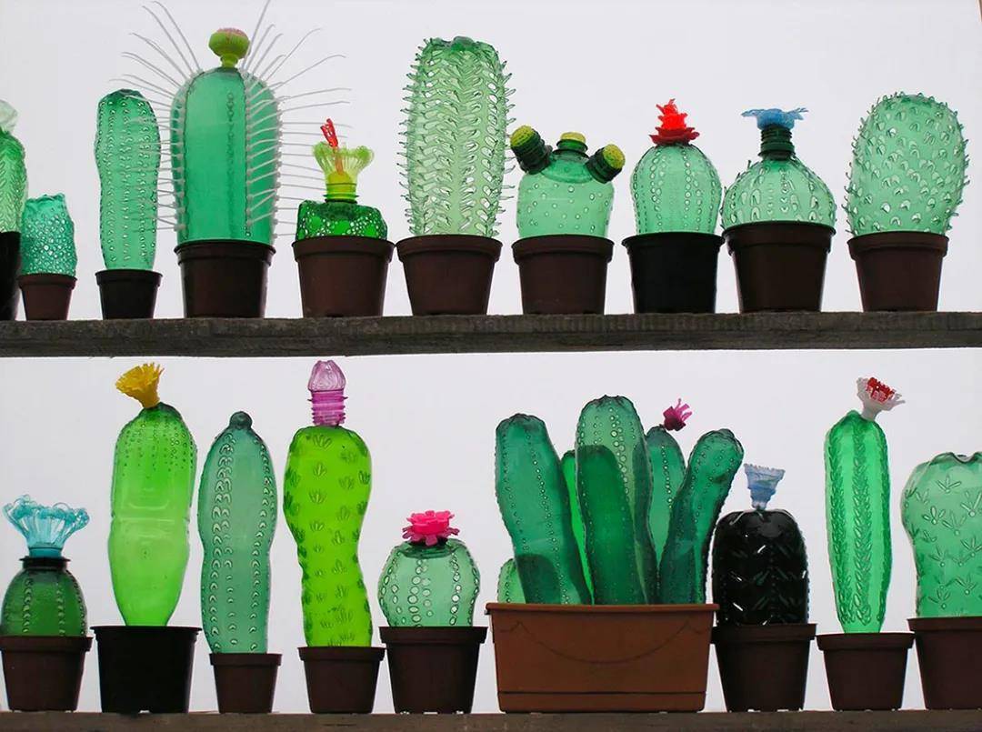 变废为宝丨diy环保创意手工给塑料瓶以新生