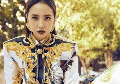 如何提高经济的质量和效益—影星蝴蝶
