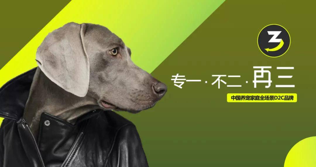 汤臣杰逊ceo刘威:再三 | 养宠家庭全场景打造品牌差异化_宠物_-tomson