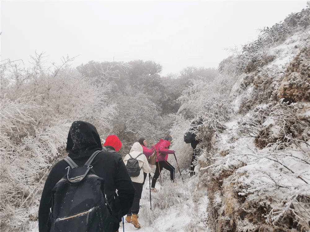 生活|赏高黎贡山雪，盼人间春色