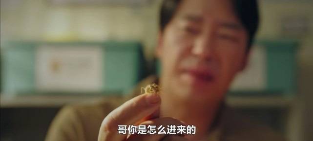 千瑞|开播收视19%！狗血爆款《顶楼3》回归，一集比一集刺激