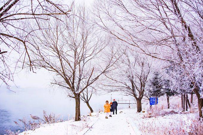 云雾|吉林松花江畔有一座“小雾凇岛”，雪后风景如画，吸引了众多游客