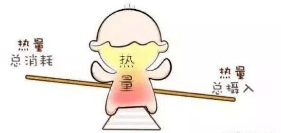 体重|减肥，一定要知道的几个知识！不要再做无用功了