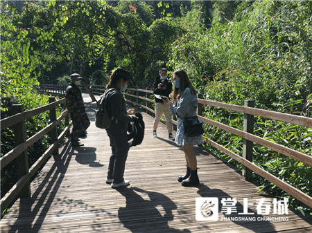 直播|跟着“中老铁路”看版纳 解锁“象”往的慢节奏之旅