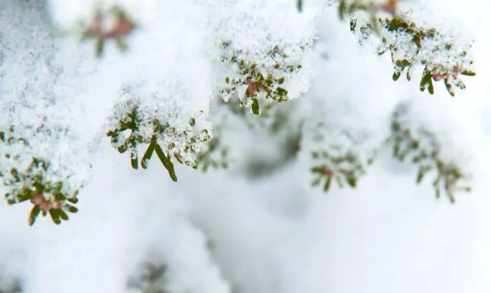 刺激家电消费太难了!以旧换新要时间农村消费很乏力-家电圈官网