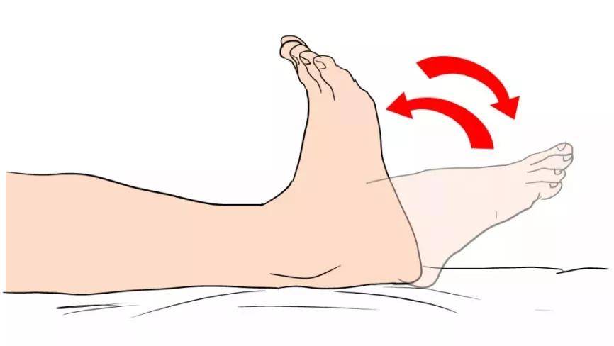 人体踝关节的主要活动功能是向上背伸以及向下跖屈