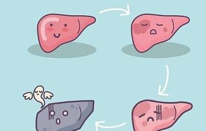 肝脏|肝脏与代谢，如影相随，肝病也会导致糖尿病
