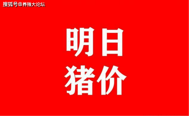 53958680fa274ed68f90e57fdd461ffa.png