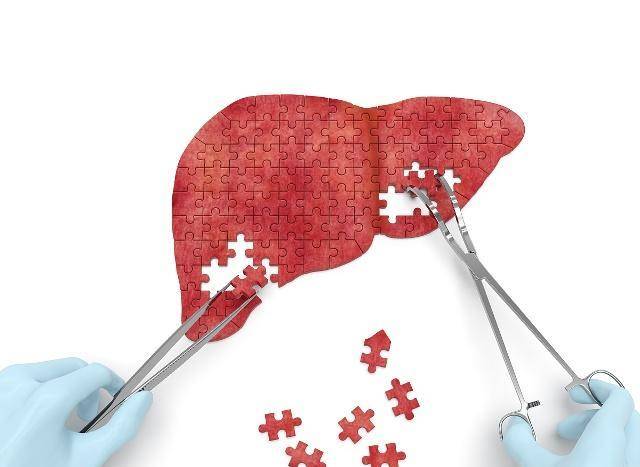 功用|肝脏除了是“解毒”器官，这几个功用，少人知道