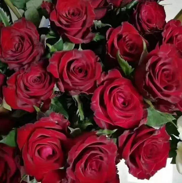 dd798478efb841a39e69bf6423dcb318.jpeg