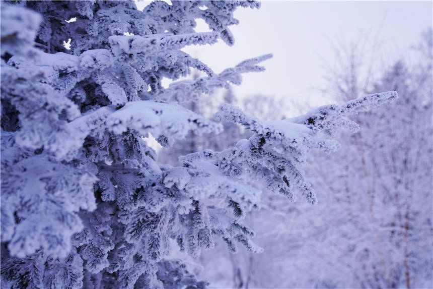 阿什|雾凇仙境，滑雪天堂，解锁吉林市的N种玩法，让这个冬天与众不同