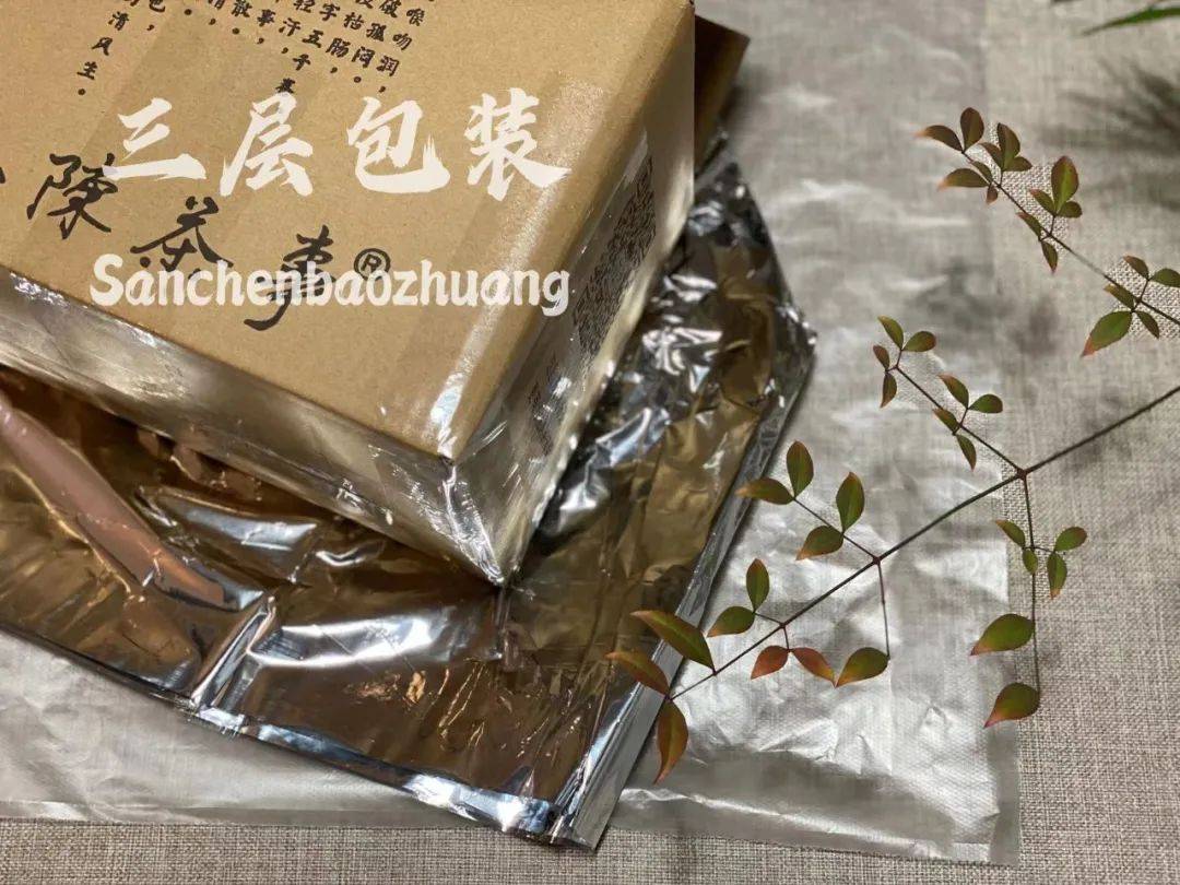 密封|北方干燥，存白茶不用担心变质？这位新疆茶客的前车之鉴值得一看