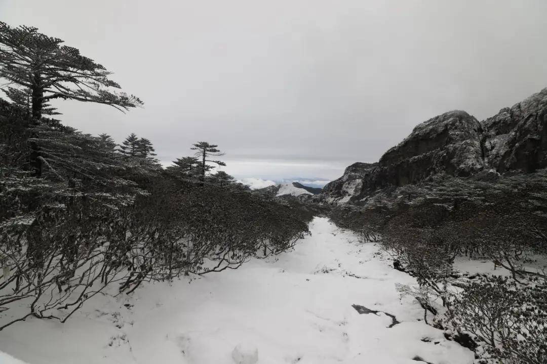 积雪|昆明、大理下雪了！周末云南大部雨雪降温齐发货，局地下降8～10℃！