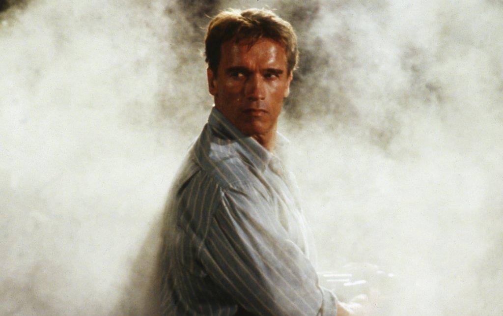 男人一直隐藏着身份,好莱坞经典之作《真实的谎言》_哈利_海伦_卷毛