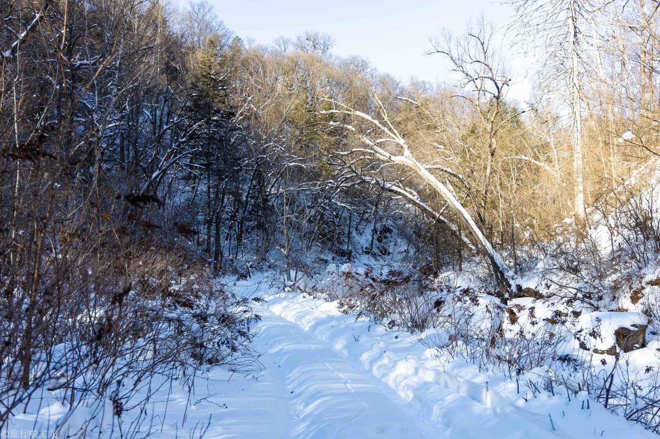 冬季在东北正确打开方式，长白山鲁能胜地滑雪UTV住火炕