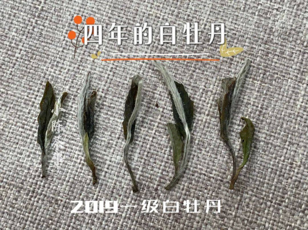 温度|铁观音冲泡时，要把盖子揭开，那冲泡岩茶、红茶、白茶也要开盖？