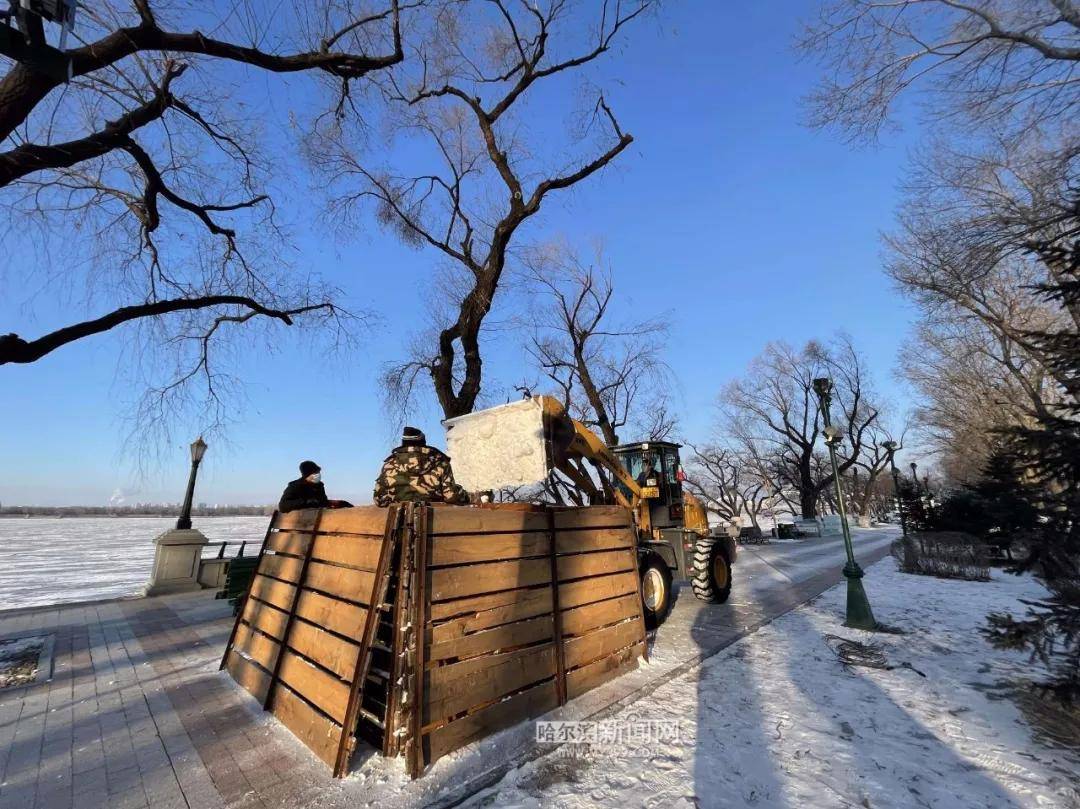 娱乐|正门巨型雪雕开始雕塑｜第四届哈尔滨松花江冰雪嘉年华火热建设中