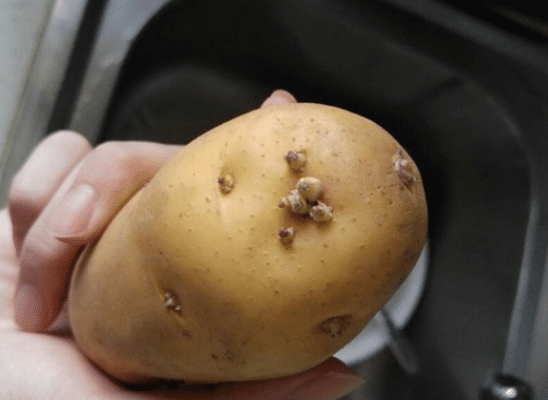 毒素|肝胆医生提醒:肝不好,晨起会有4种表现,若一个不占,肝还健康