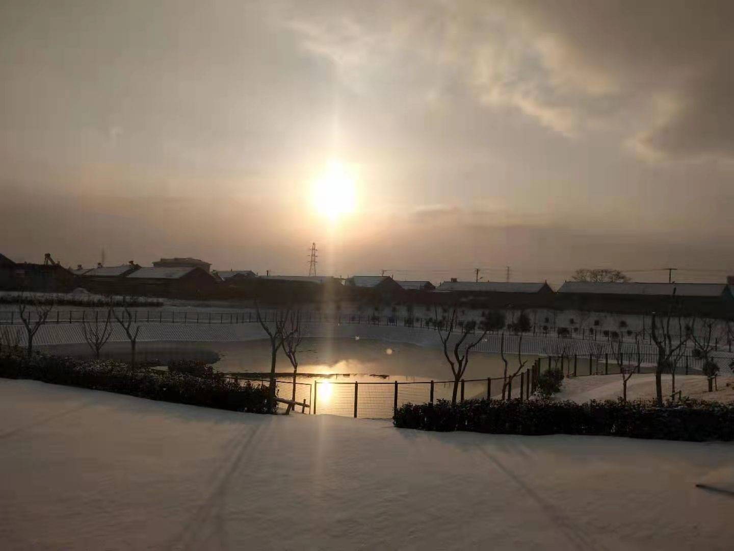 黄岛|撒盐空中差可拟｜2021青岛初雪，快来欣赏各区雪景～