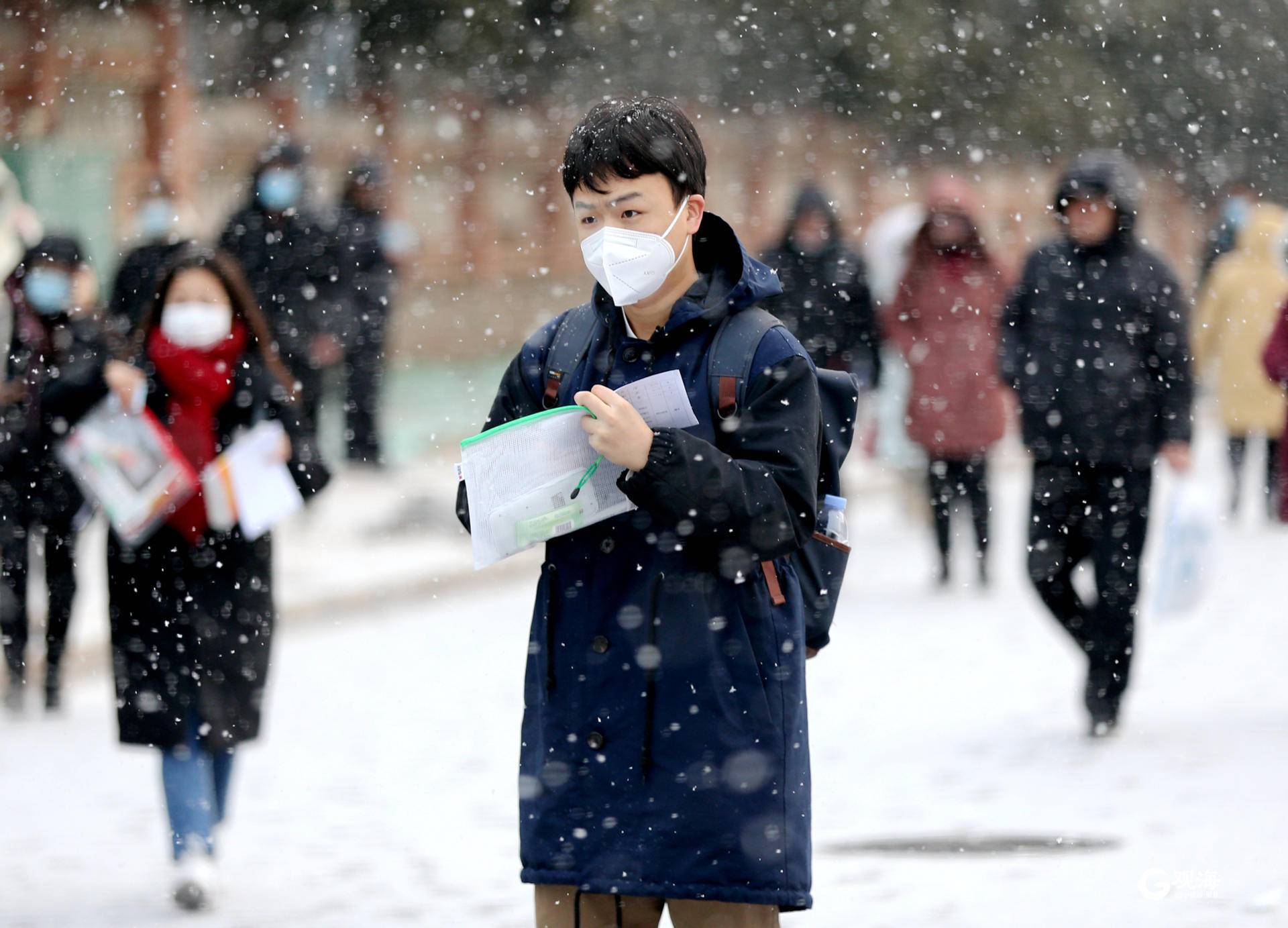 雪景|雪后青岛：雪中景、雪中忙、雪中情、雪中乐……集全了