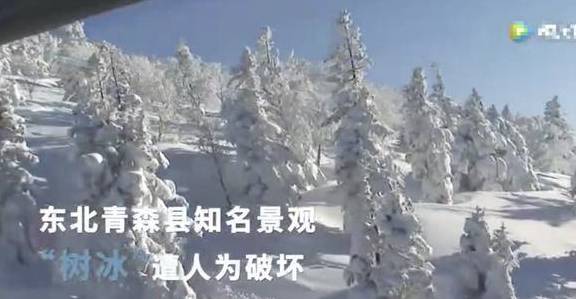 日本“雪乡”遭破坏，被人涂鸦中文“生日快乐”，对此你怎么看？