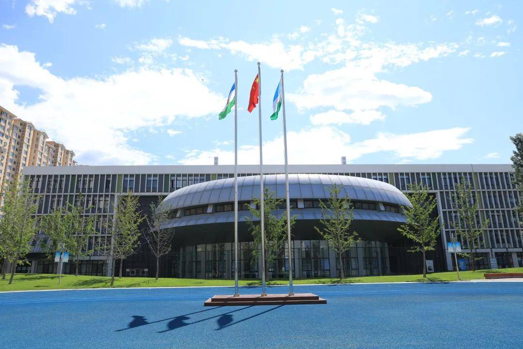 北京市通州区运河中学:铺就青年教师成长坦途_发展_培训_教育