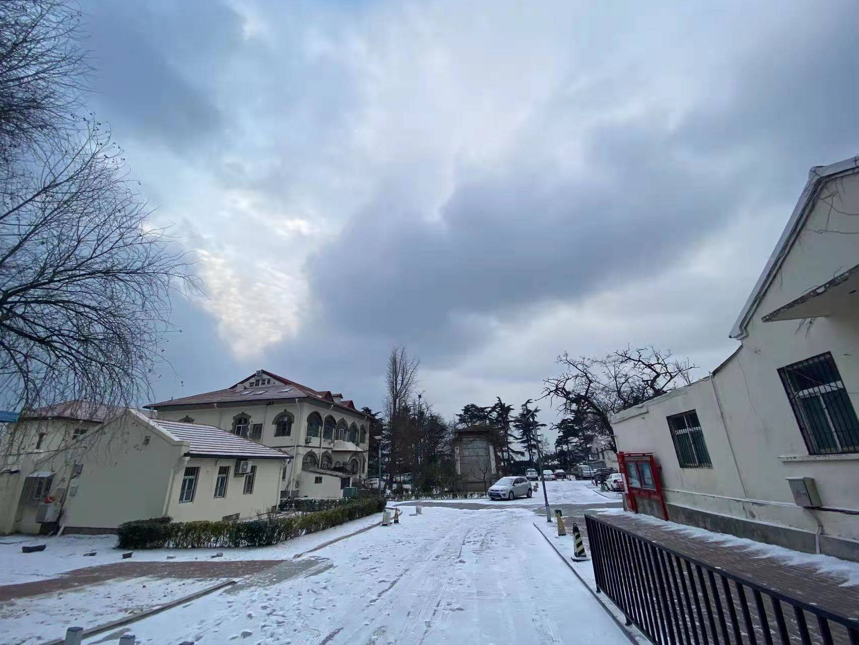 雪景|雪后青岛：雪中景、雪中忙、雪中情、雪中乐……集全了