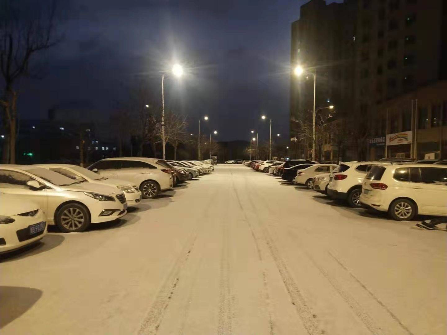 雪景|雪后青岛：雪中景、雪中忙、雪中情、雪中乐……集全了