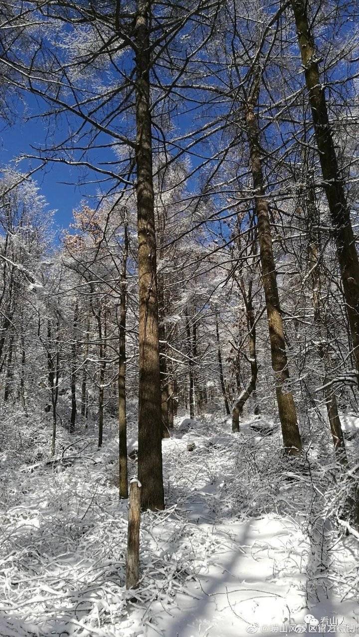 黄岛|撒盐空中差可拟｜2021青岛初雪，快来欣赏各区雪景～