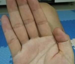 a77c421b801d41c2b9e13f14e7608867.jpeg
