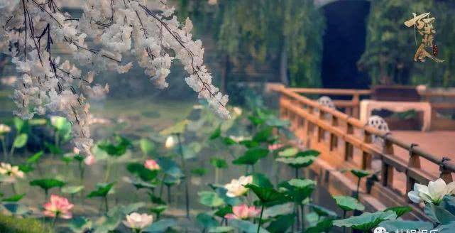 八卦|种草《陈情令》：看到双男主同框，不由得露出了姨母般的笑声！