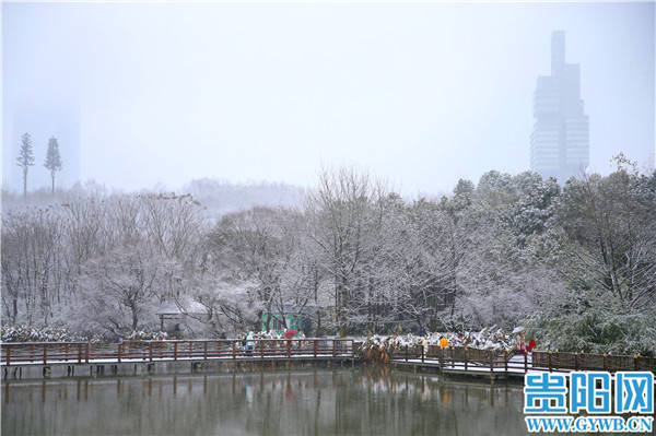 中雪|【图集】贵阳观山湖公园银装素裹惹人醉