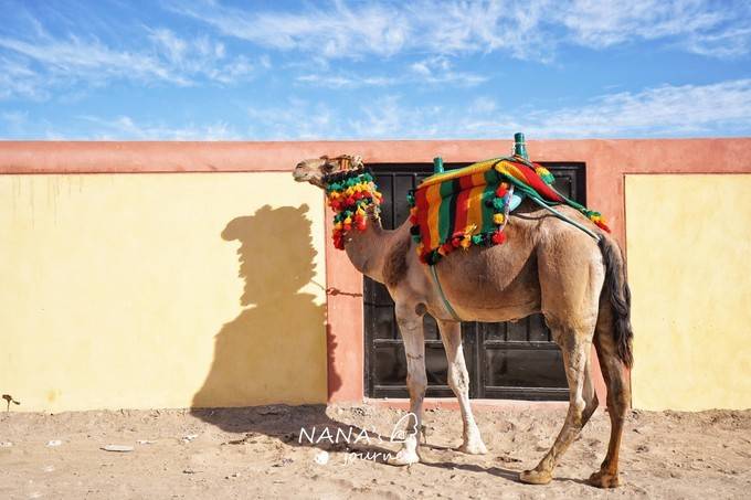 埃及边境的这个彩色村落，独有的民族风情，是新晋网红度假地