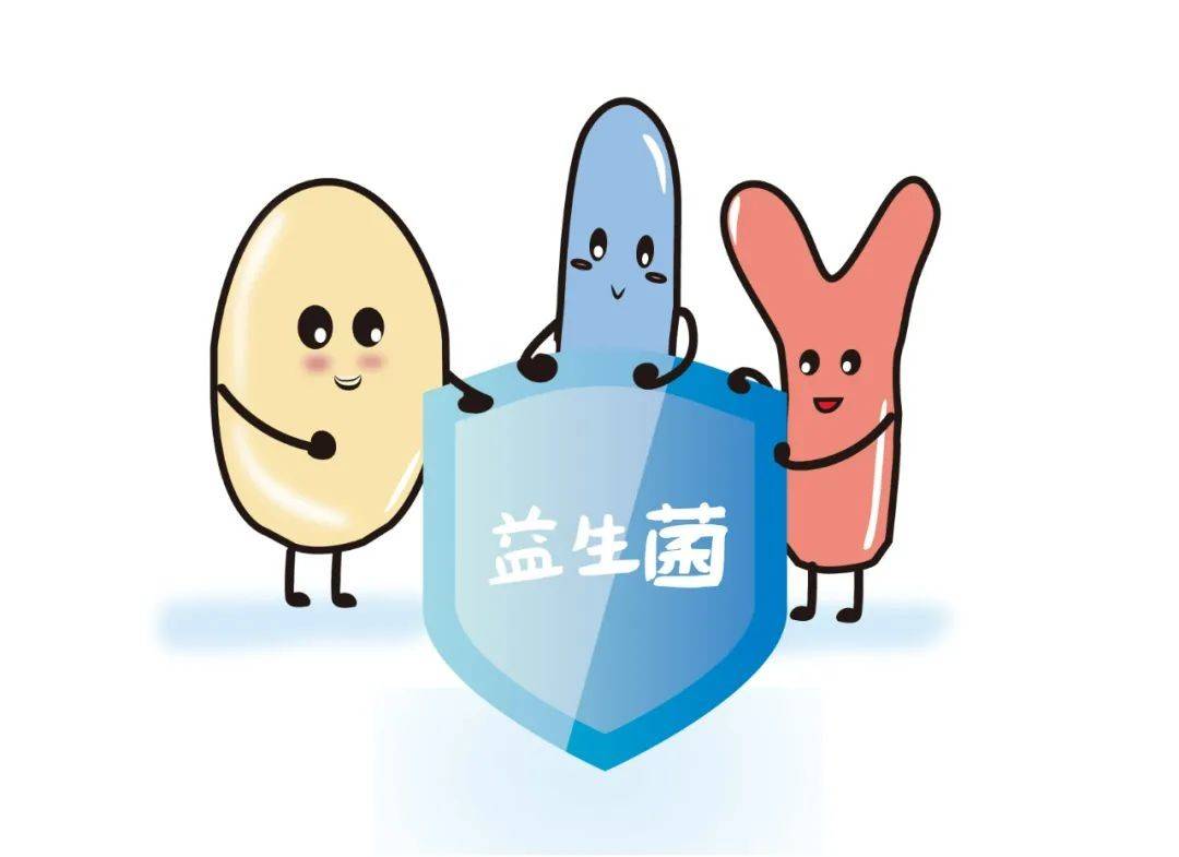 吃什么食物能增加肠道有益菌 b8559ae072e549c69b6dd4c15c8993fd.jpeg
