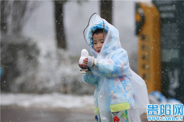 中雪|【图集】贵阳观山湖公园银装素裹惹人醉