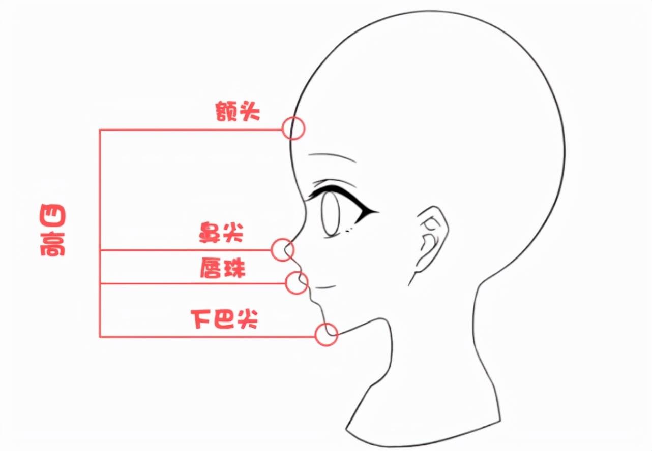 動漫五官基礎入門畫法_臉部_輪廓_角色