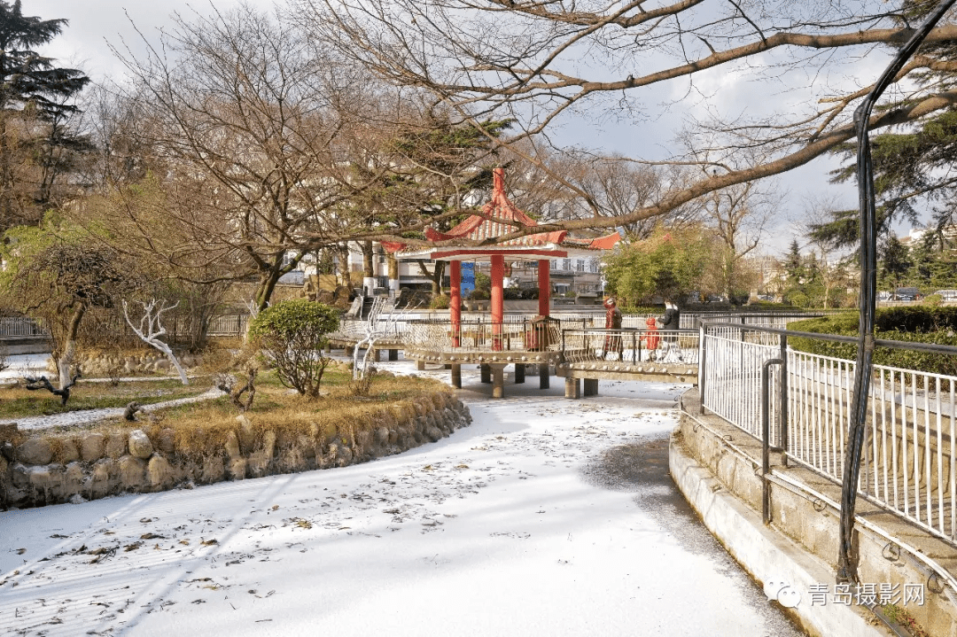 柳絮|一月一题 | 雪，让这个世界变得温柔而浪漫