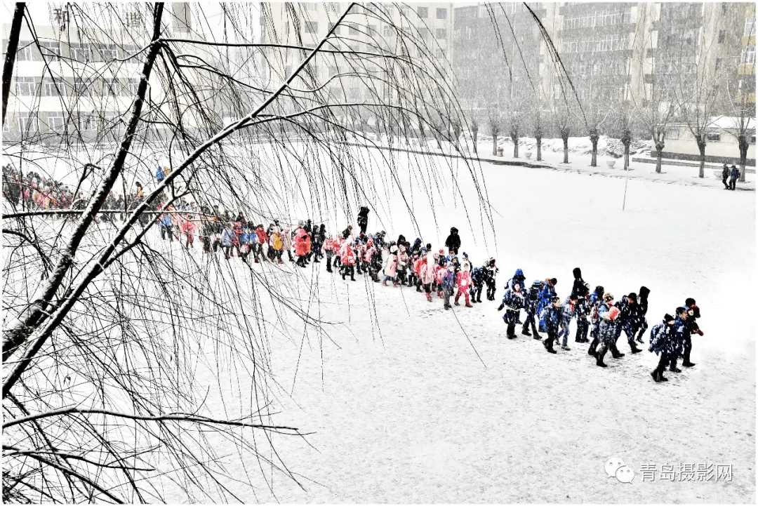 柳絮|一月一题 | 雪，让这个世界变得温柔而浪漫