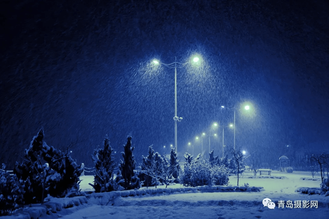 柳絮|一月一题 | 雪，让这个世界变得温柔而浪漫