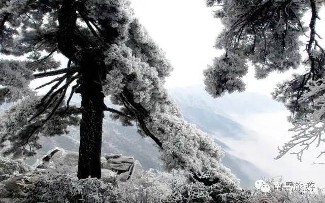 注意！南岳衡山中心景区开放时间有新调整