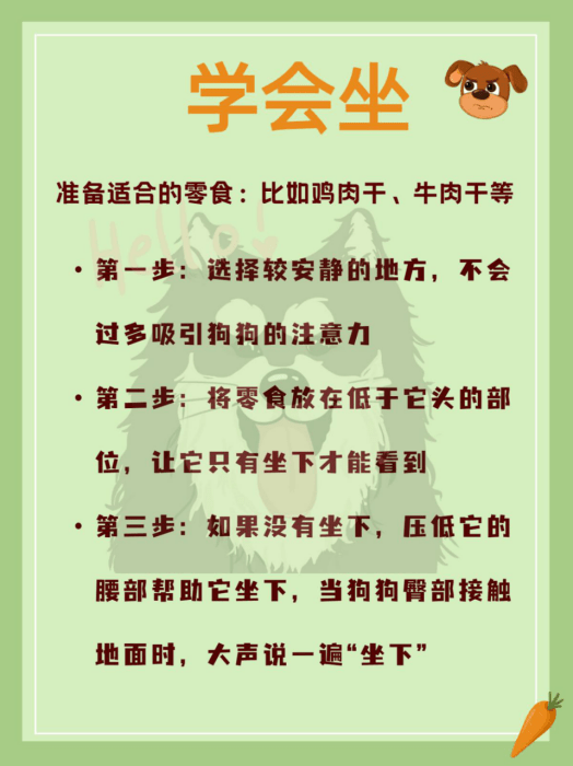 厕所如何科学训狗——定点厕所、握手、关门