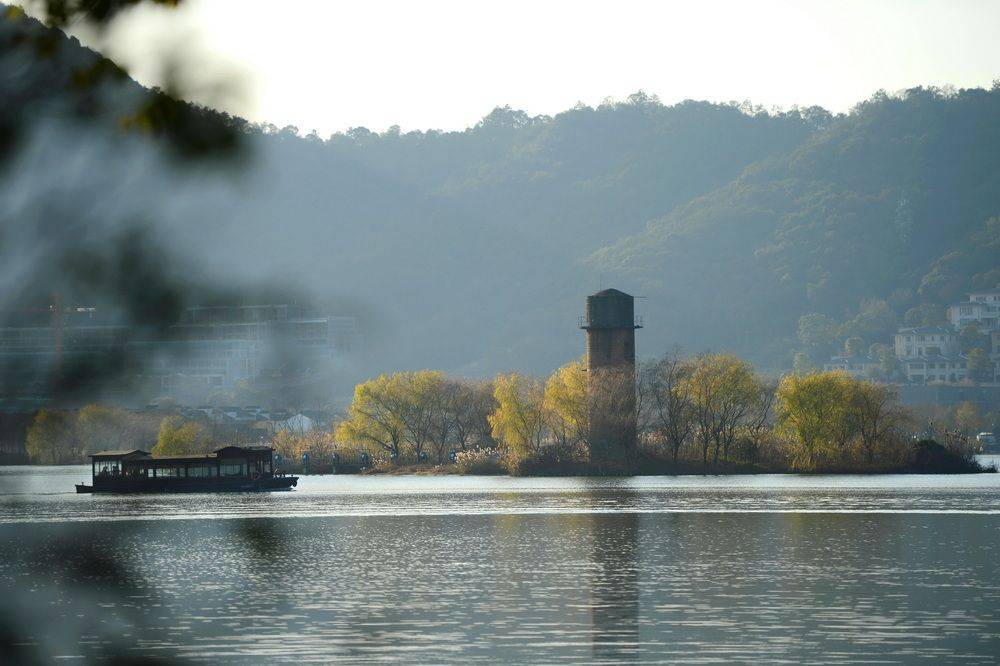 山川|杭州湘湖，芦花正好，天寒之日忆旧年