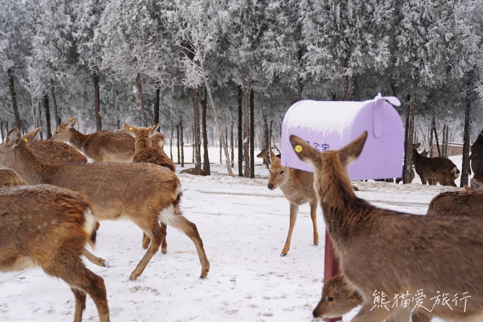 景区|郑州周边宝藏度假地，世界级旅游目的地伏羲山，网红项目玩不停