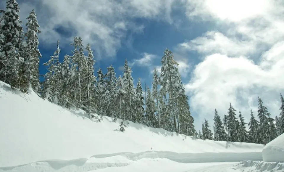 小米生态链素士科技想上市,但电动牙刷独木难支-家电圈官网