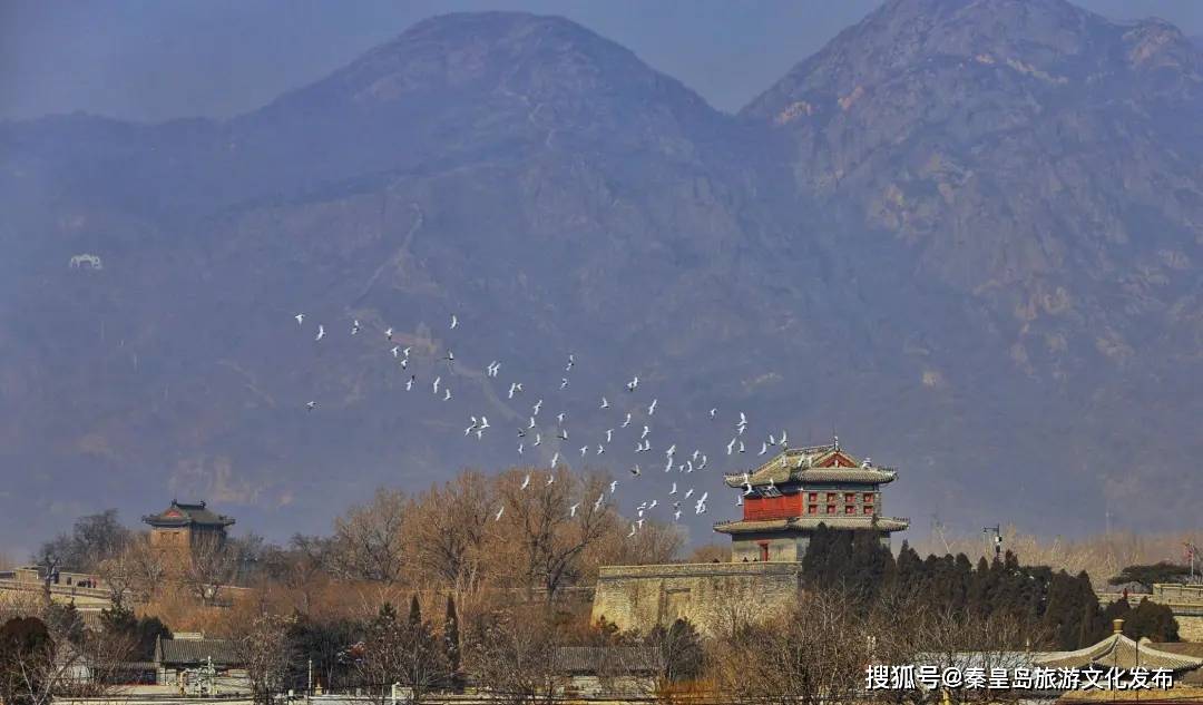 秦皇岛|秦皇岛之冬旅游文化季活动来了，15项大型活动8景区优惠都在这儿！