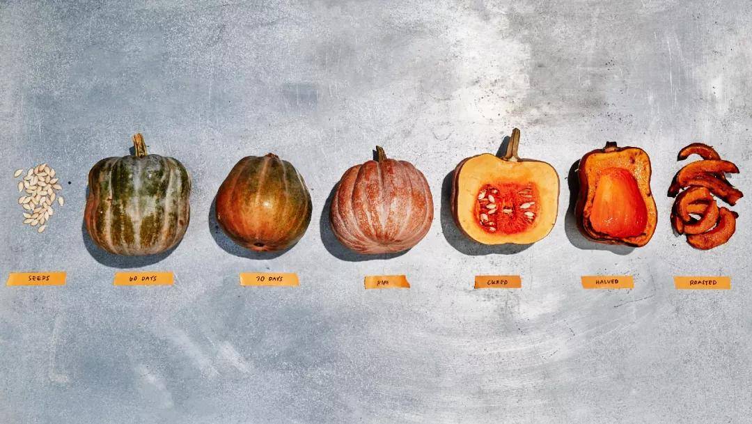 食品|五年成功IPO，這家公司把沙拉店做成科技公司