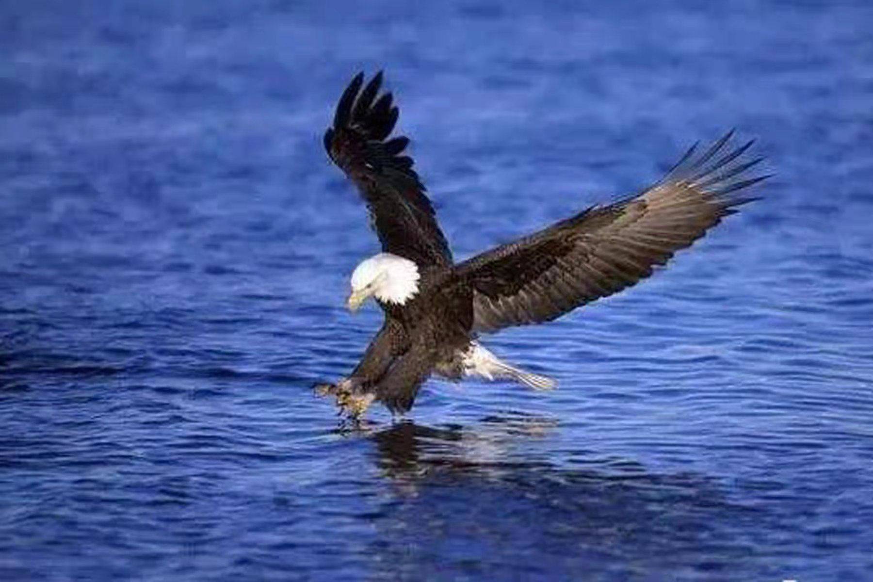 快门详解摄影必知三要素