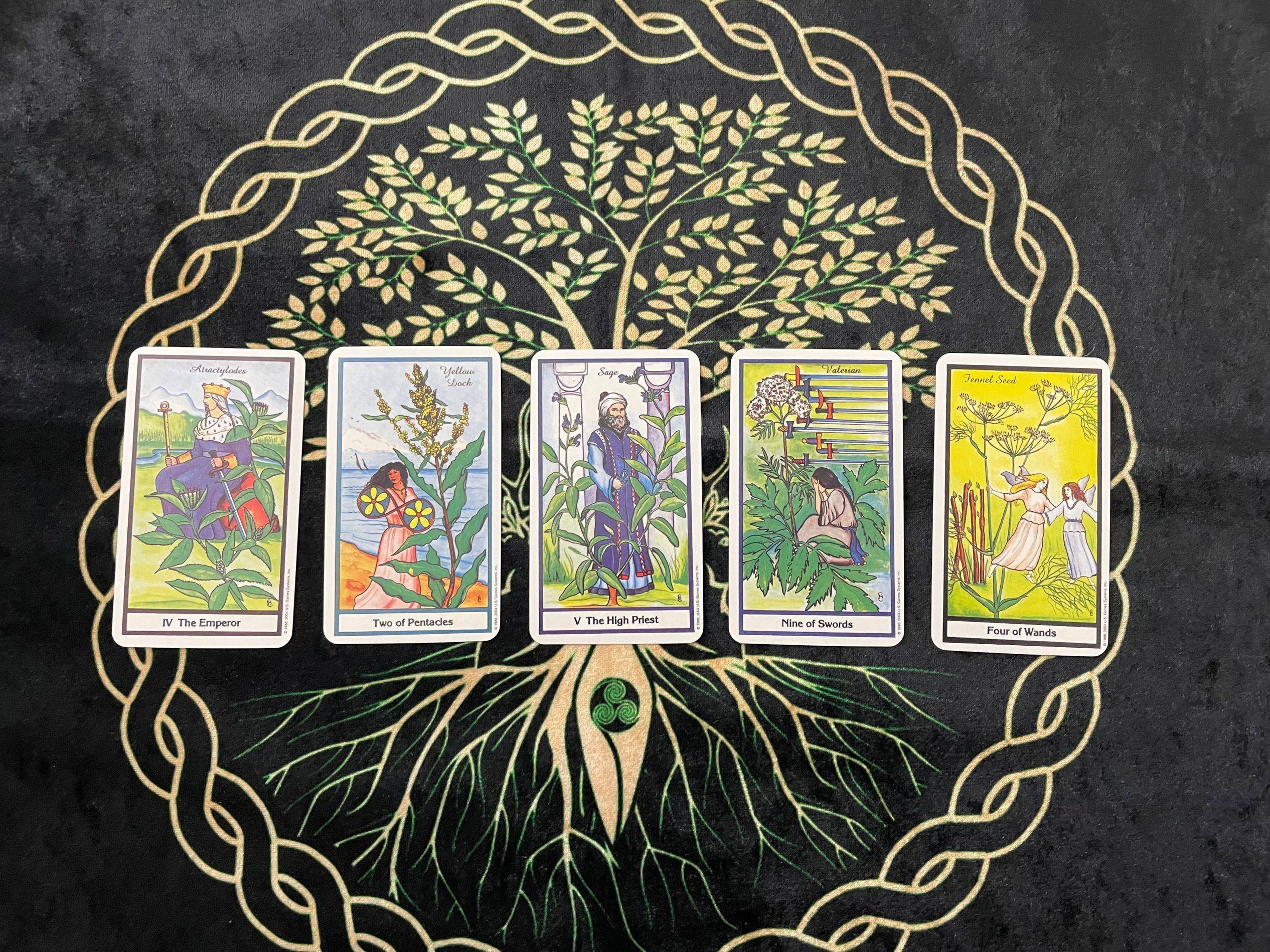 原创花梦塔罗摩羯座2022年全年运势概览顺理成章好运来苦尽甘来