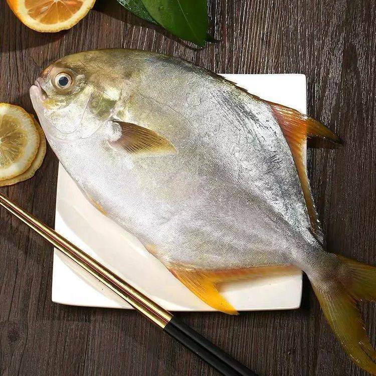 俗话说"无鸡不成宴,无鱼不成席",鱼鱼有生活富裕,如鱼得水,多子多福的